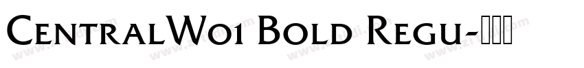 CentralW01 Bold Regu字体转换